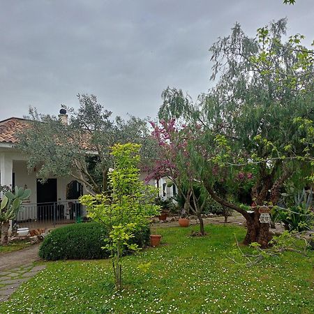 Hotel La Casa Di Fede Lanuvio Zewnętrze zdjęcie