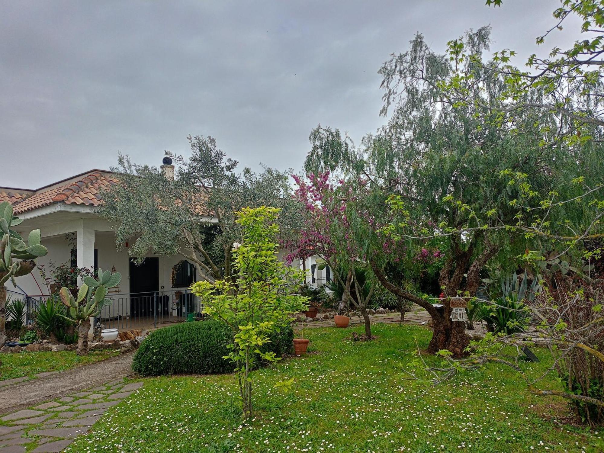 Hotel La Casa Di Fede Lanuvio Zewnętrze zdjęcie